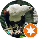 Victoria K profile picture